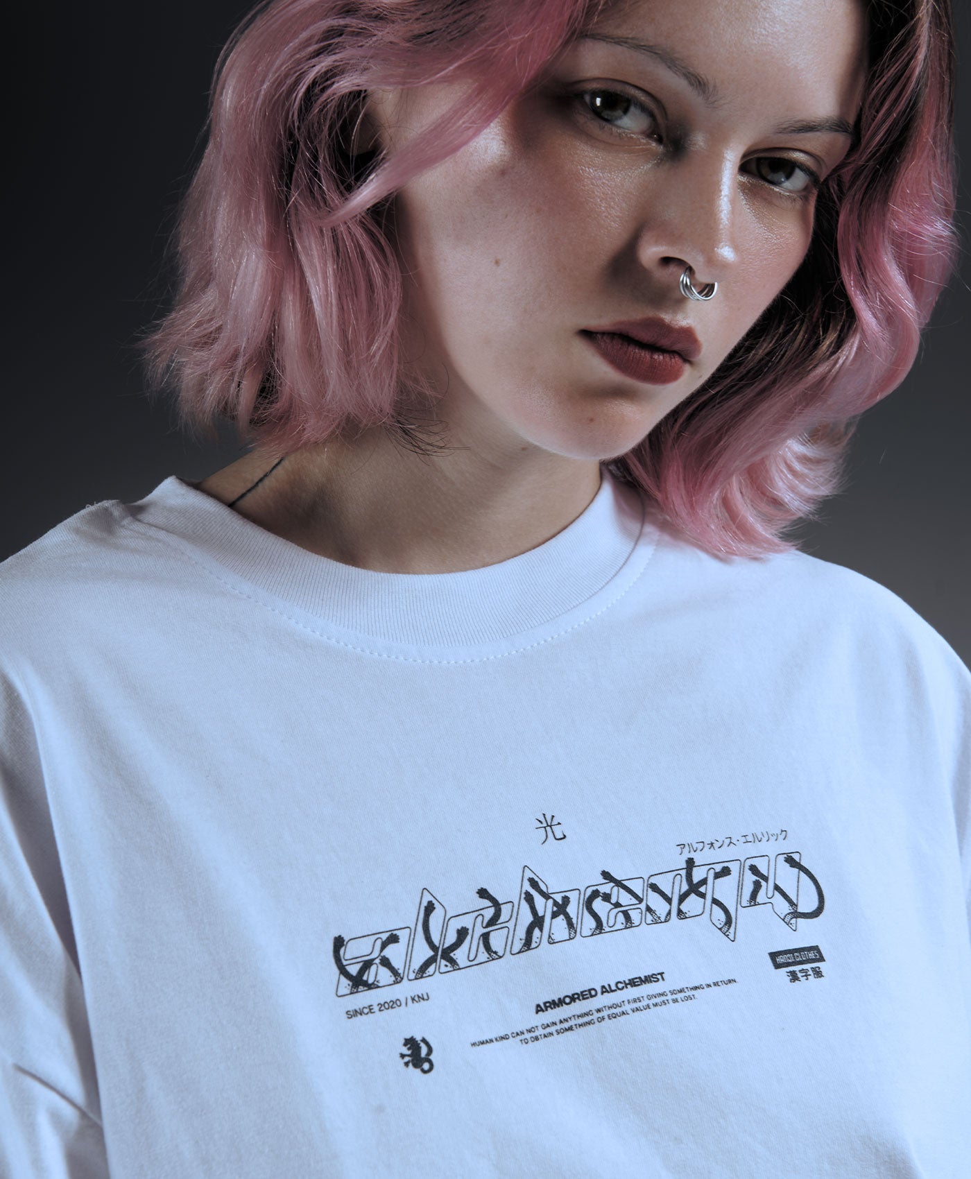 Polera Oversize Anime Fullmetal Alchemist Alphonse Elric 