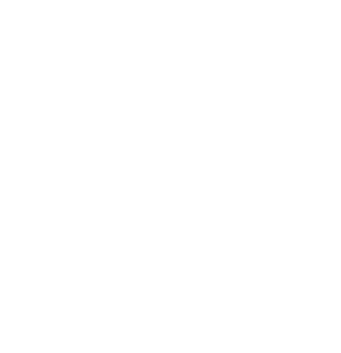 Garantía Icon
